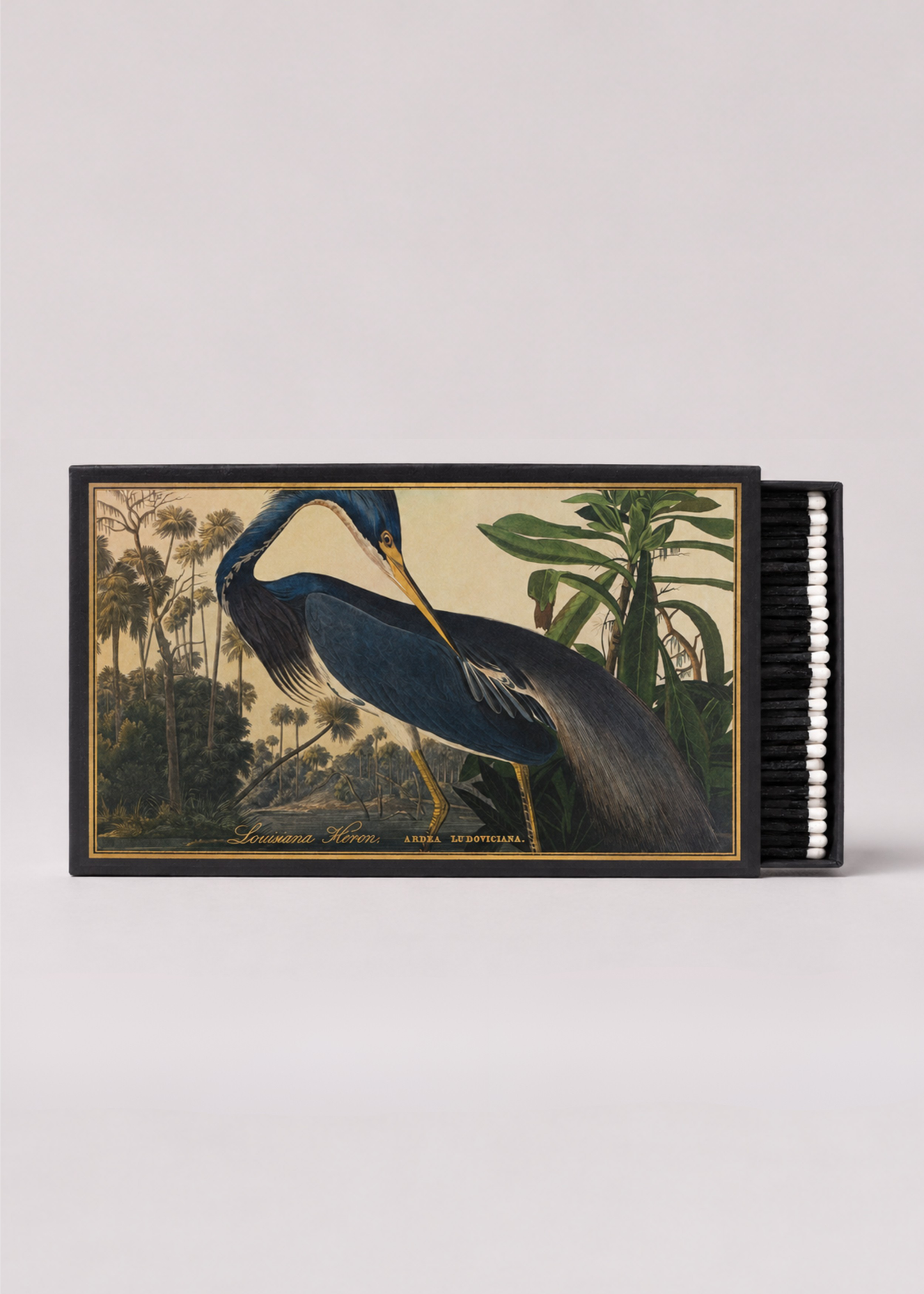 MATCHES -GIANT HERRON