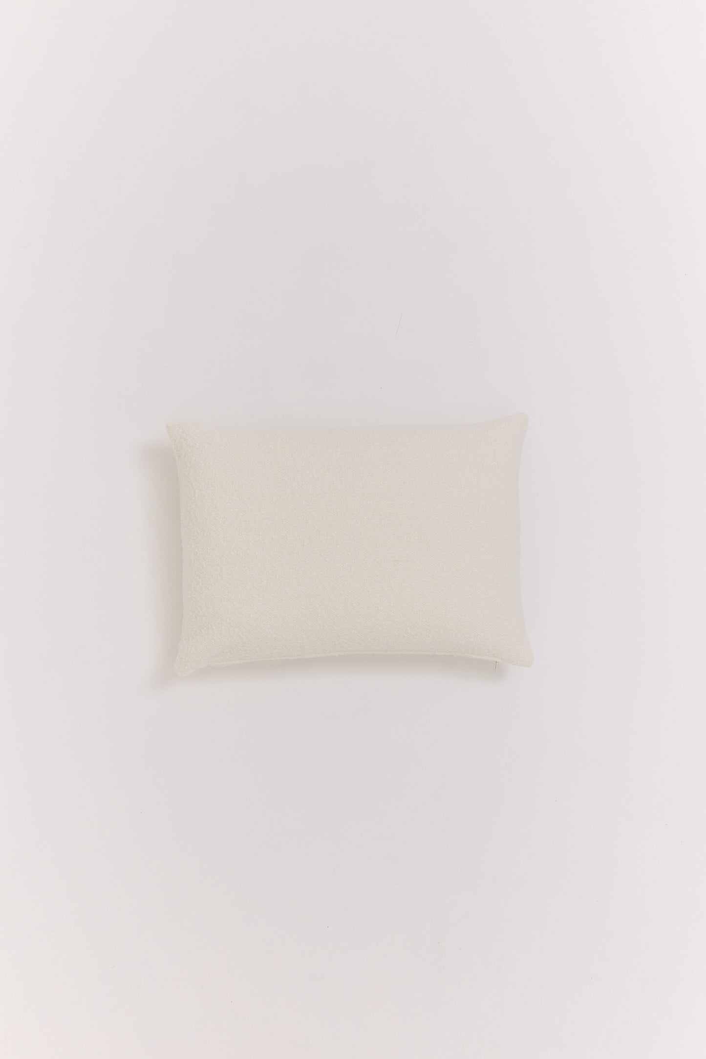 Crème Anglaise Cushion