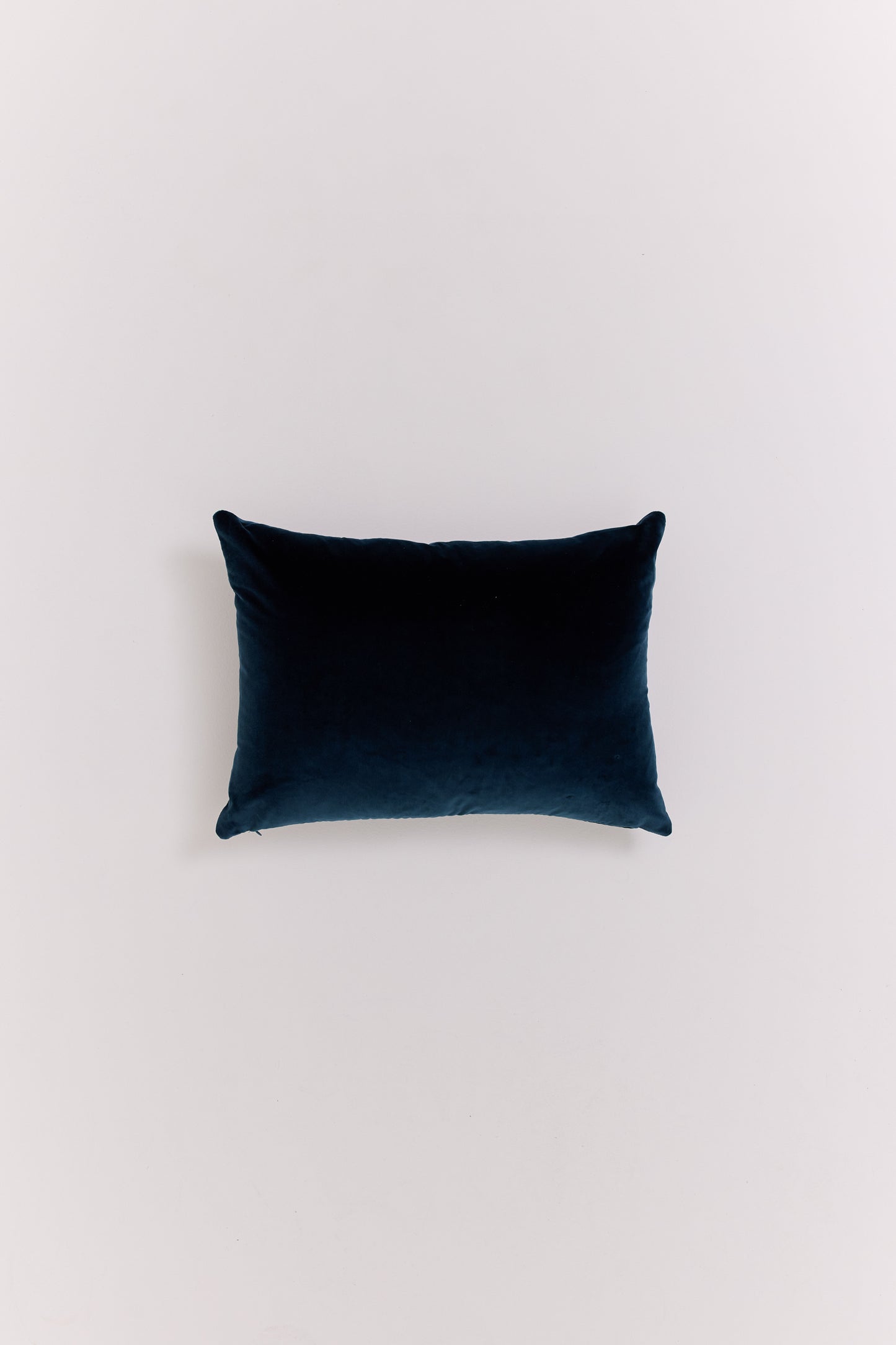 La Maison de Fred Cushion